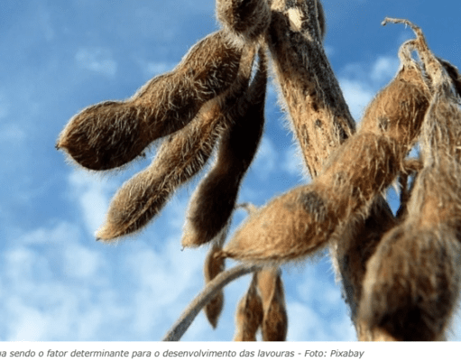 Disparada da soja surpreende mercado global