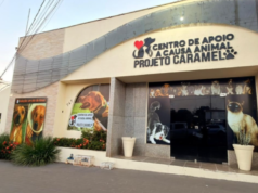 Costa Rica inaugura Centro de Apoio à Causa Animal “Projeto Caramelo” e amplia ações de proteção aos animais