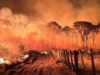 Mato Grosso do Sul decreta emergência ambiental por risco de incêndios florestais