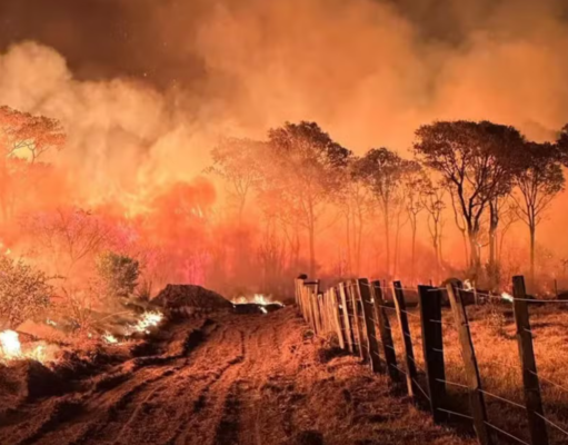Mato Grosso do Sul decreta emergência ambiental por risco de incêndios florestais