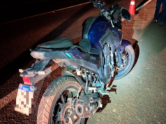 Motociclista fica ferido após atropelar anta na MS-306 entre Chapadão do Sul e Costa Rica