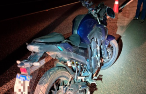 Motociclista fica ferido após atropelar anta na MS-306 entre Chapadão do Sul e Costa Rica