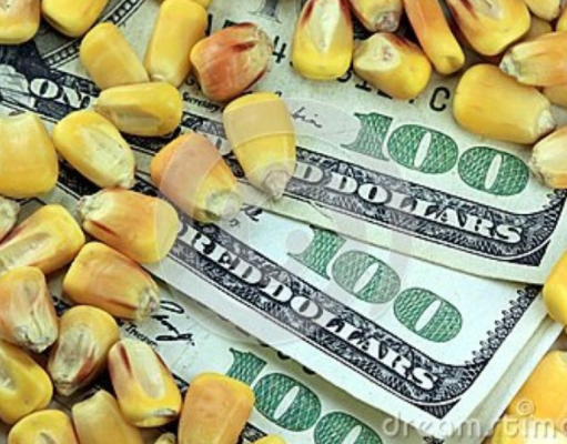Milho sobe na B3 com apoio externo e dólar