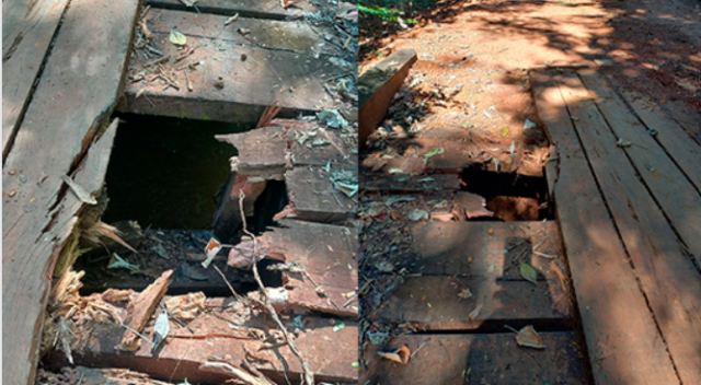 Captura de tela 2026-07-14 135735
