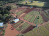Horticultores do Cinturão Verde de Costa Rica recebem capacitação do Sebrae para fortalecer produção e empreendedorismo rural