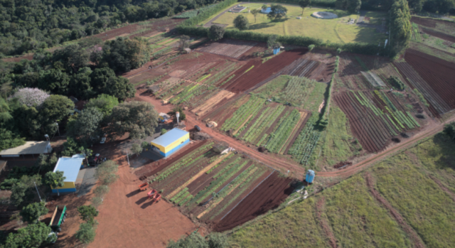 Captura de tela 2026-07-30 155213
